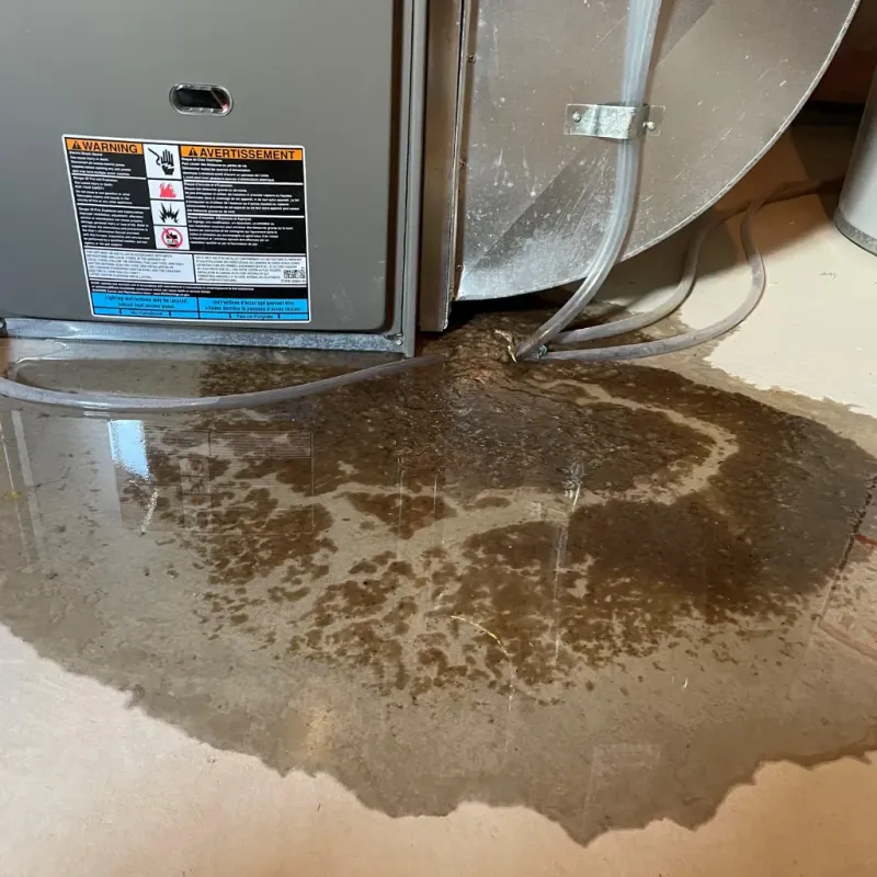 Appliance Leak Cleanup in Delta County, MI