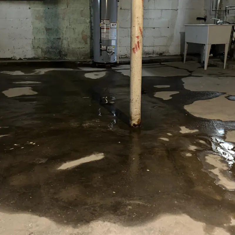 Emergency Water Extraction And Removal in Delta County, MI